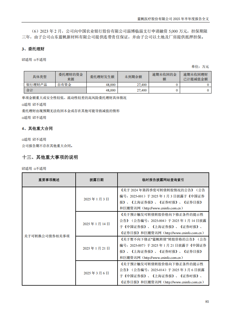 bob电竞竞技
医疗：2025年半年度报告_85