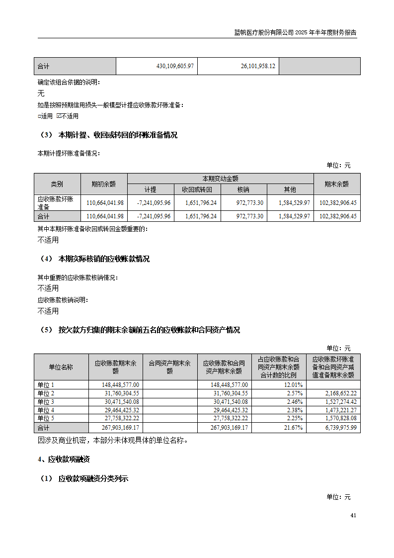 8-2025年半年度财务报告_41