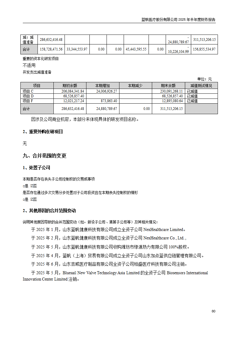 8-2025年半年度财务报告_80