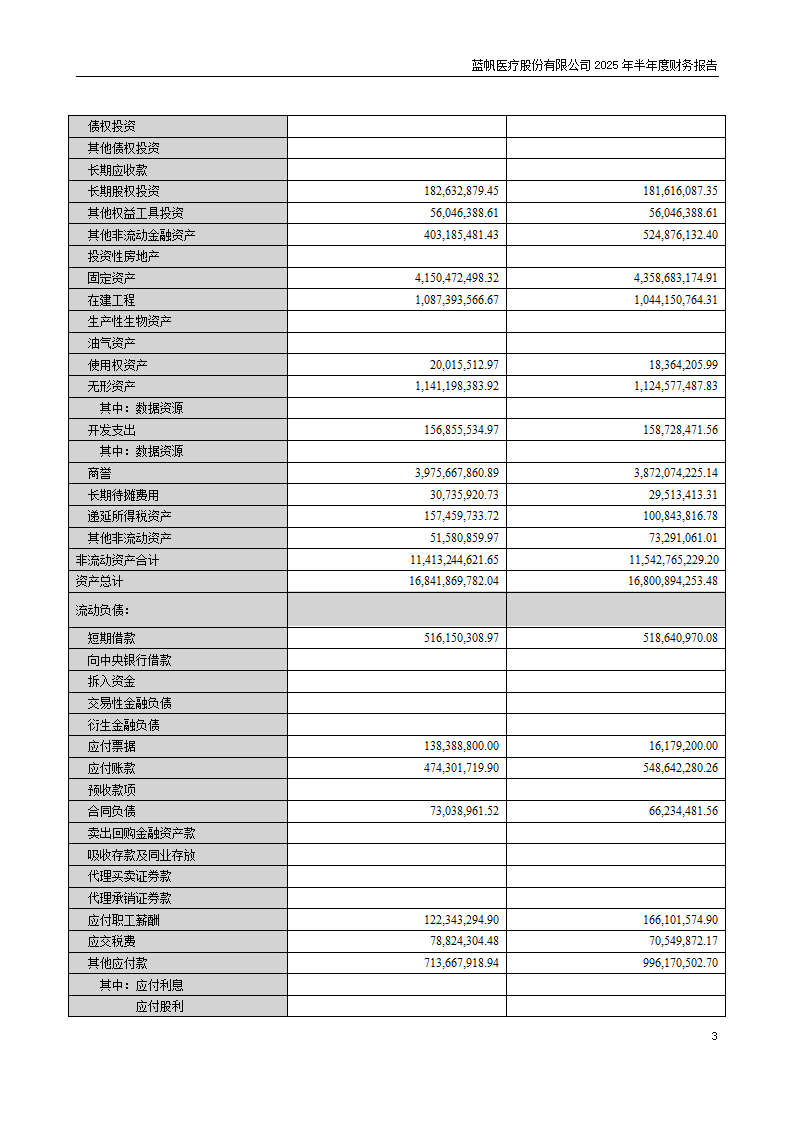 8-2025年半年度财务报告_03