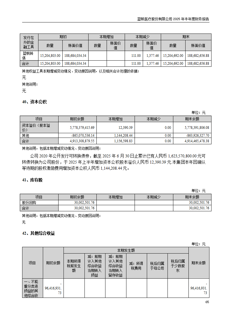 8-2025年半年度财务报告_65