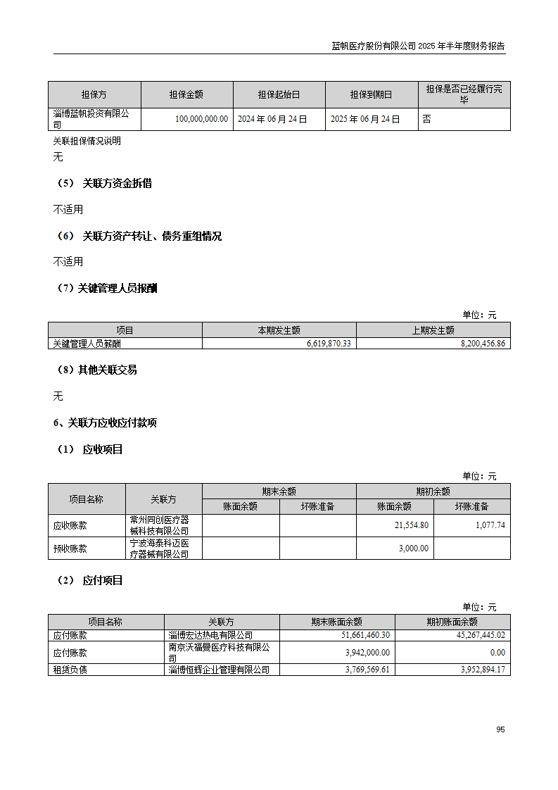 8-2025年半年度财务报告_95