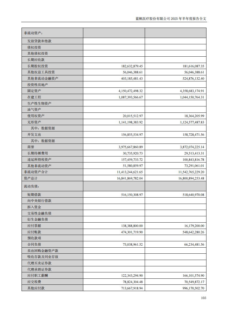 bob电竞竞技
医疗：2025年半年度报告_103
