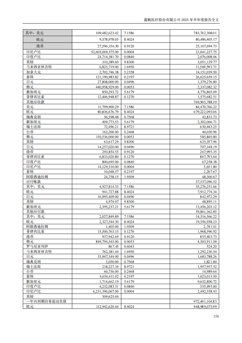 bob电竞竞技
医疗：2025年半年度报告_176