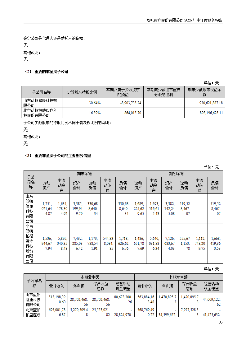 8-2025年半年度财务报告_85